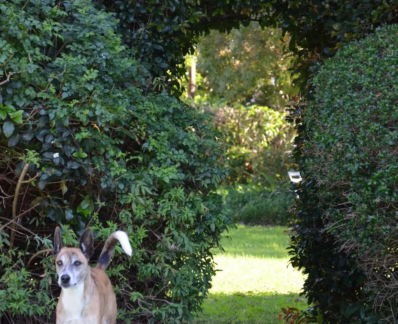 Σπίτι διακοπών Cherry Lane Constantia Κέιπ Τάουν